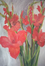 Red Gladioli